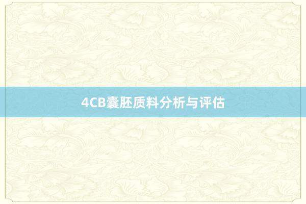 4CB囊胚质料分析与评估