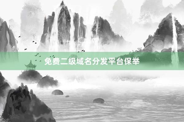 免费二级域名分发平台保举